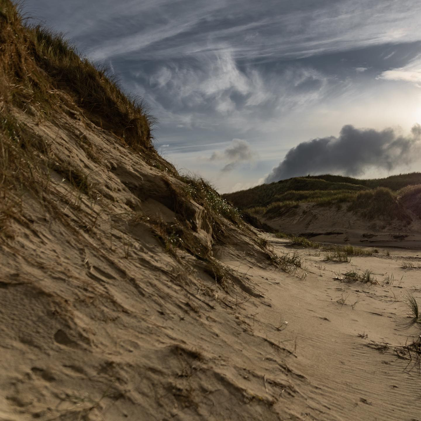 #northsea #canoneosr6 #eosr6 #sigma24105art