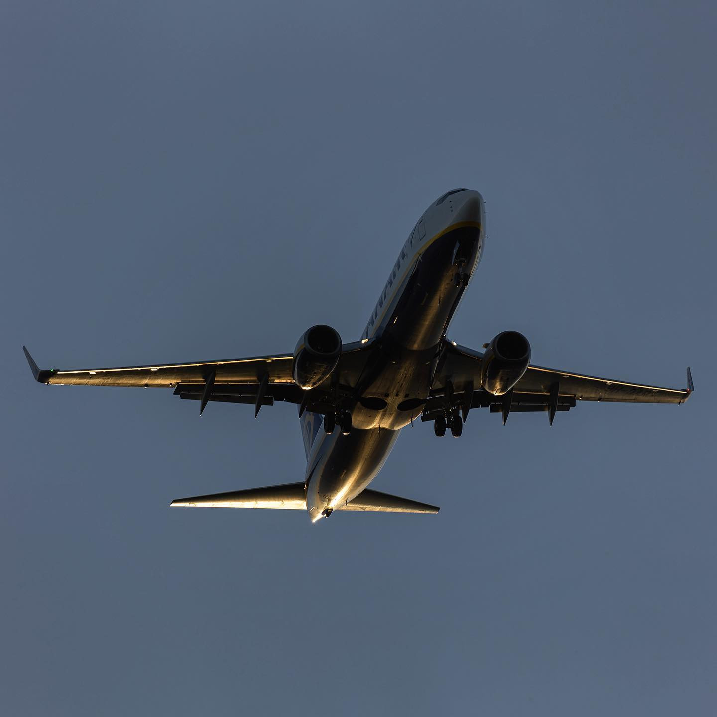 #canoneosr6 #eosr6 #canon600mmf11 #boeing737 @ryanair