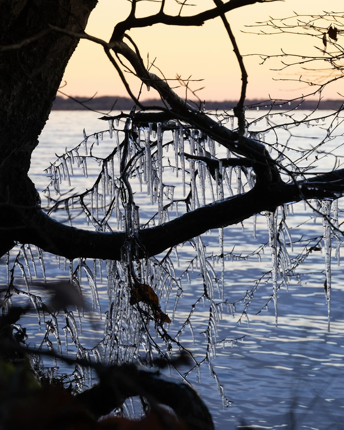 Winter is coming. #autumnvibes #landscapephotography #canoneosr6markii #eosr6markii #canon100500rf
