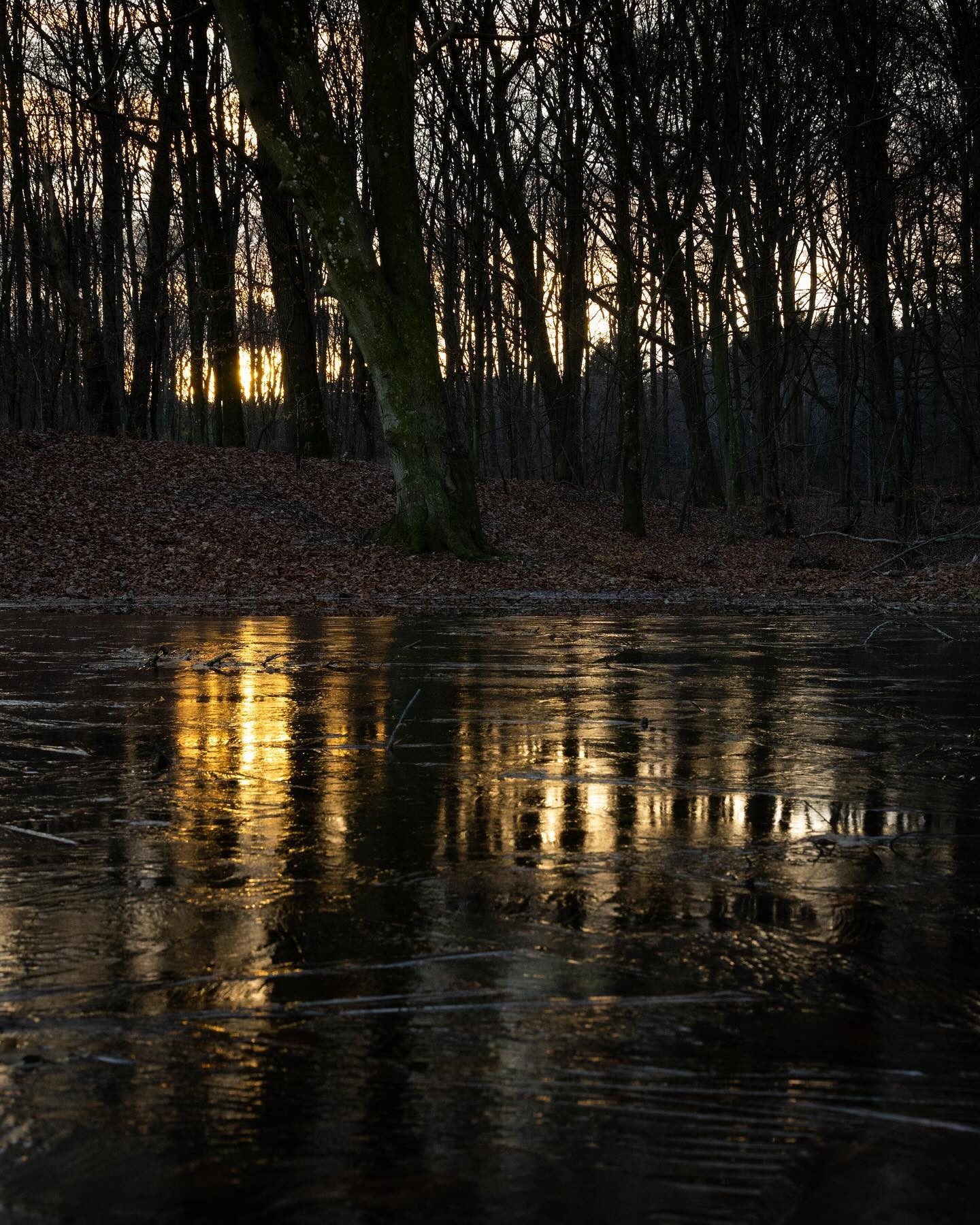 Winter is coming. #sunset #autumnvibes #landscapephotography #canoneosr6markii #eosr6markii #sigma24105art