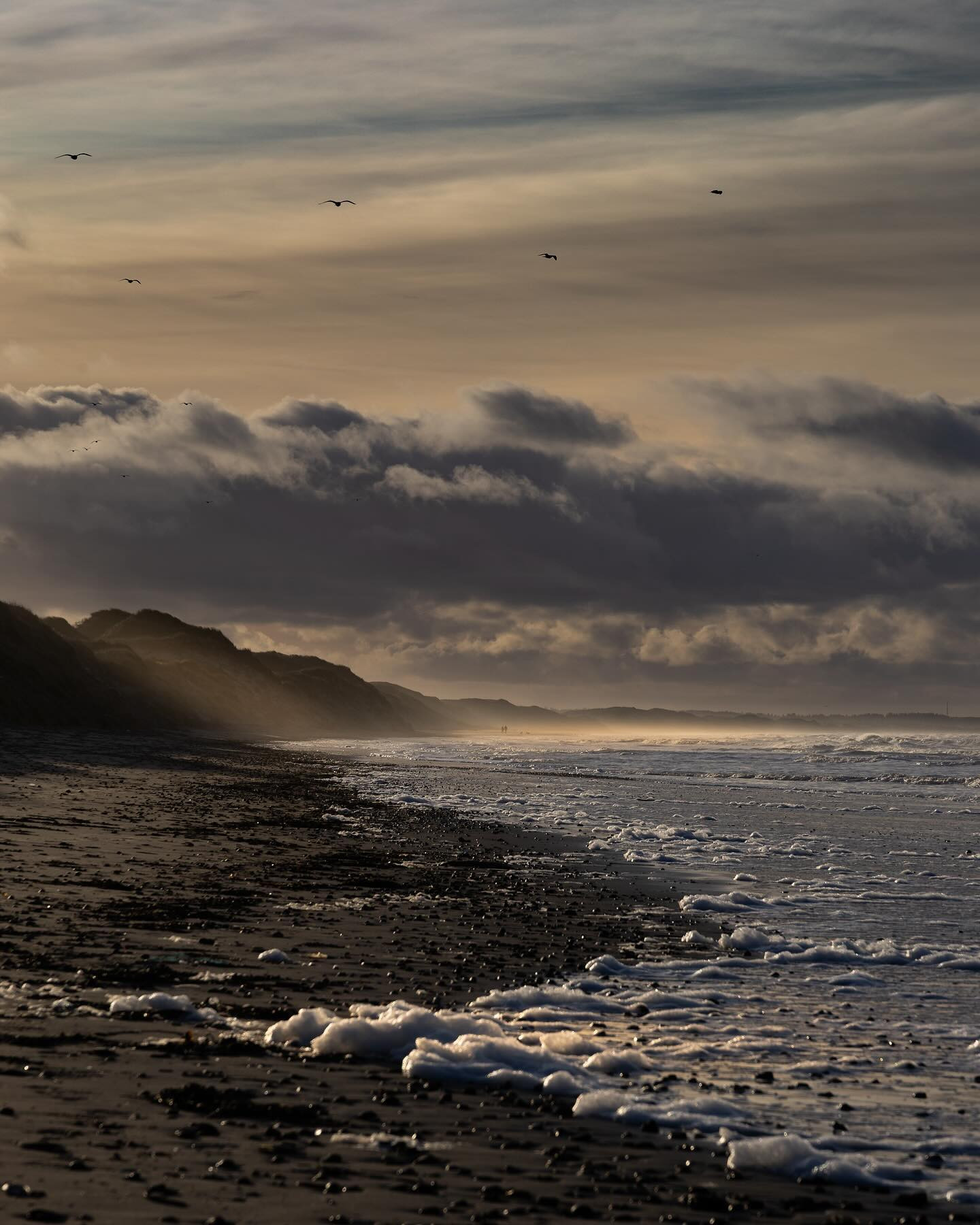 #home #northsea #coast #landscapephotography #canoneosr6markii #eosr6markii #sigma24105art