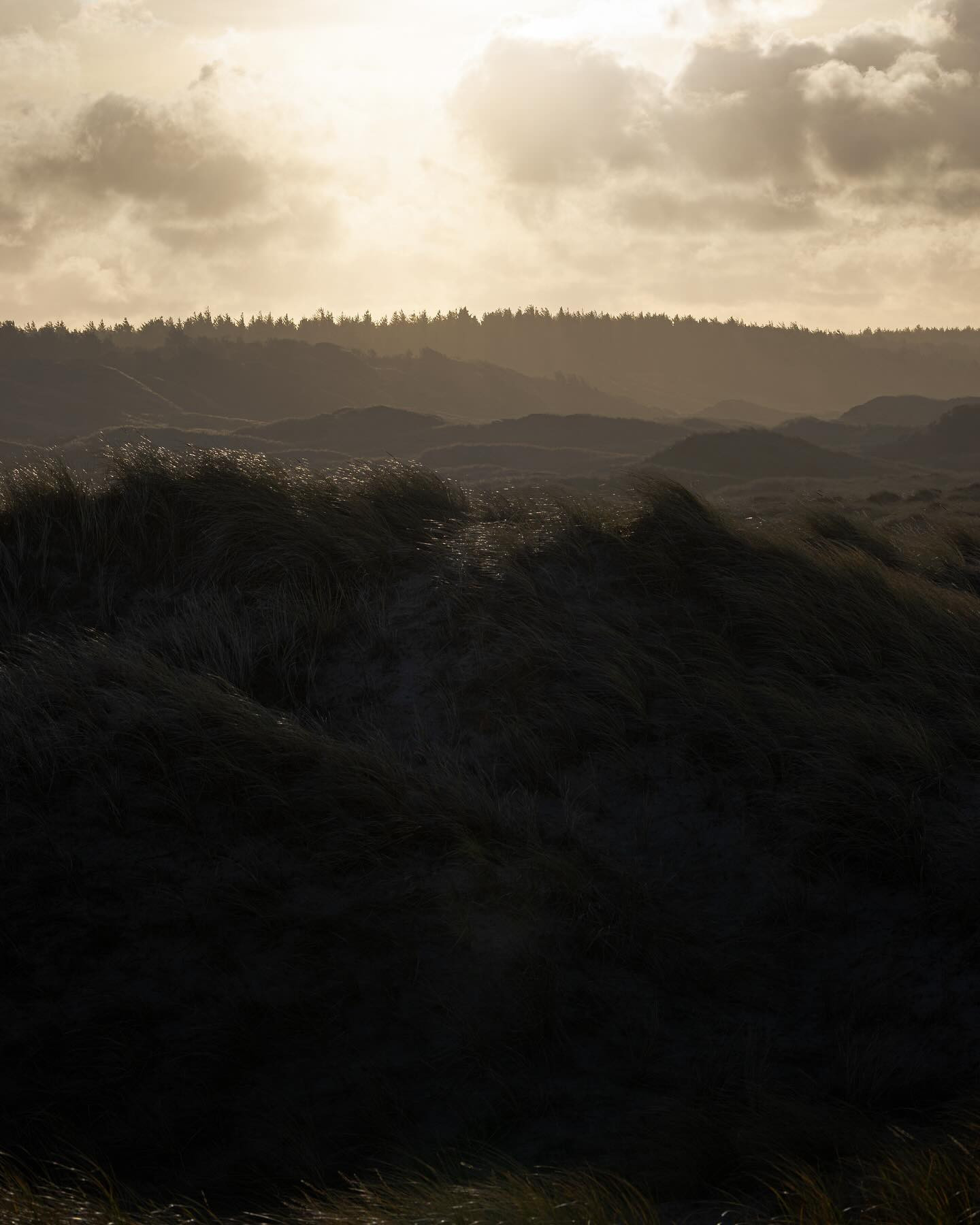 Dunes. #lowsun #landscapephotography #canoneosr6markii #eosr6markii #canon100500rf