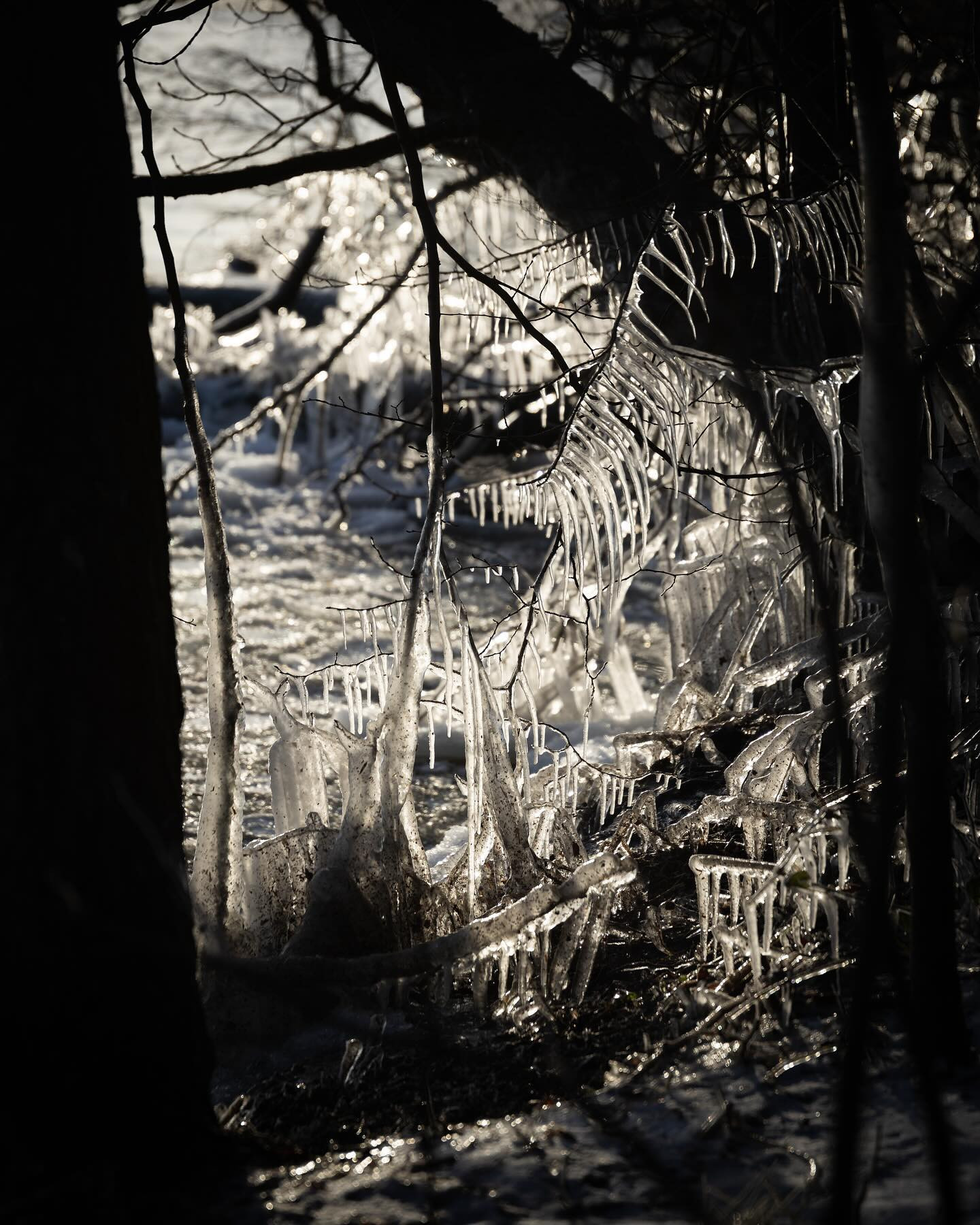 More ice. #canoneosr6markii #eosr6markii #sigma24105art #winter #ice #landscapephotography
