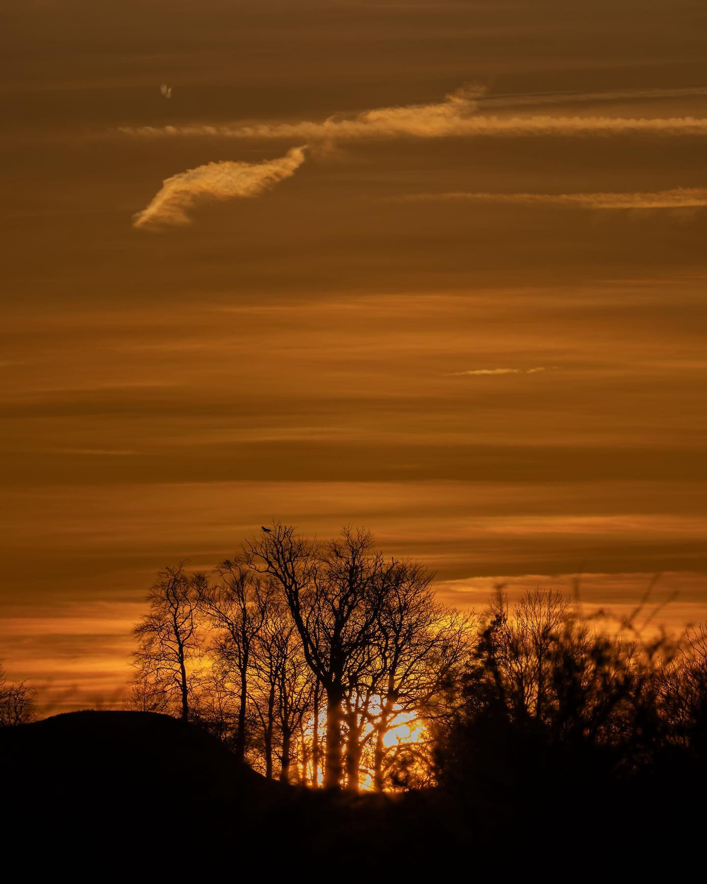 An amazing day at Bognæs on the hunt for white-tailed eagle also paid off with some nice #landscapephotography opportunities. #sunset #canoneosr6markii #eosr6markii #canon100500rf