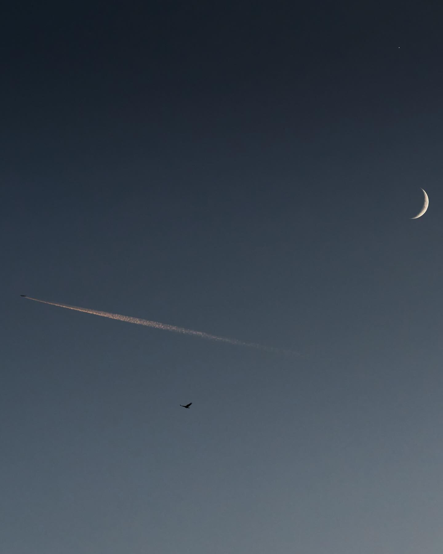 Plane, bird, Moon, Venus

#canoneosr6markii #eosr6markii #canon100500rf #lowlight