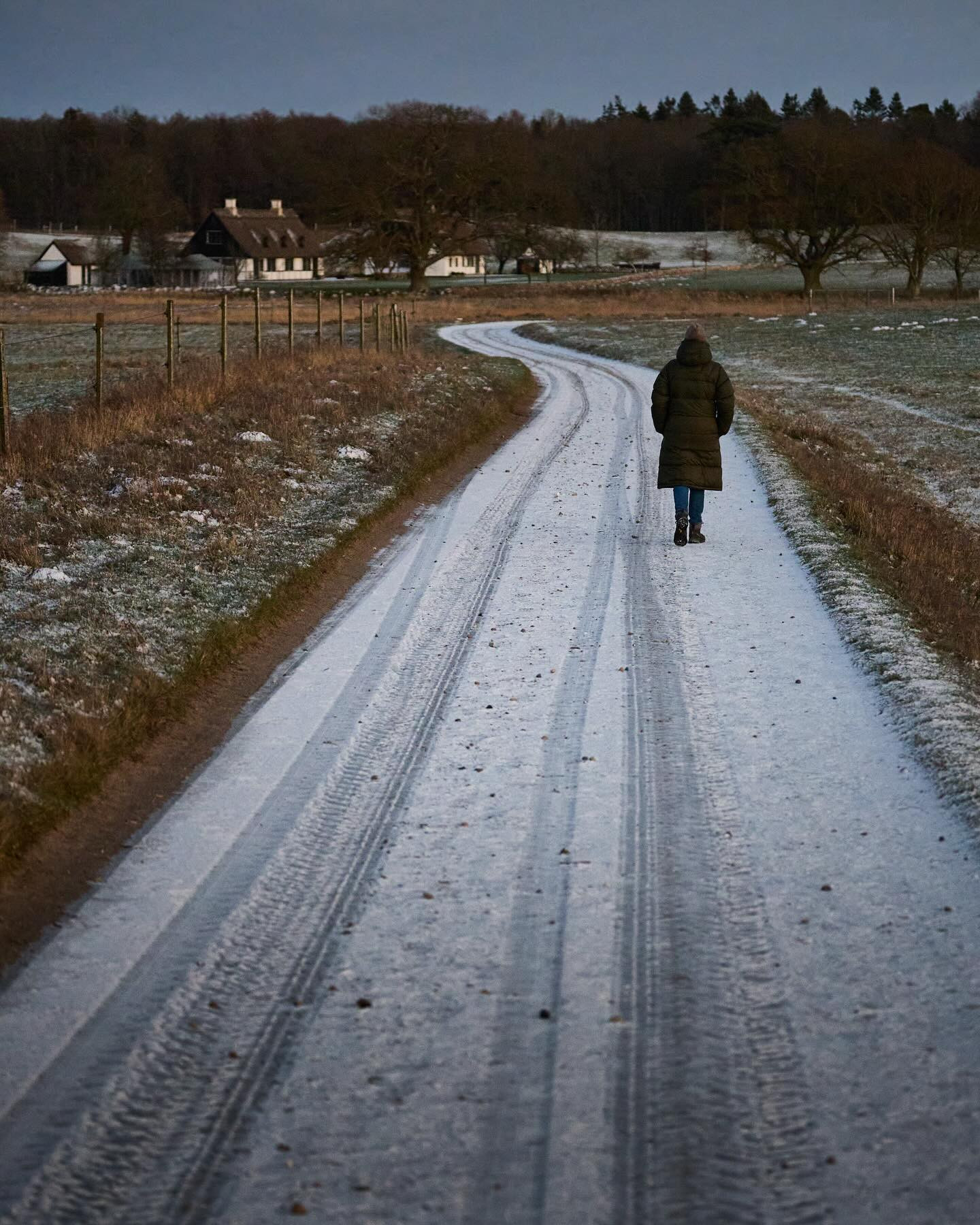If on a winter’s night a traveler

#canoneosr6markii #eosr6markii #canon100500rf #lowlight #winter